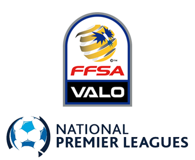 ffsa-npl group